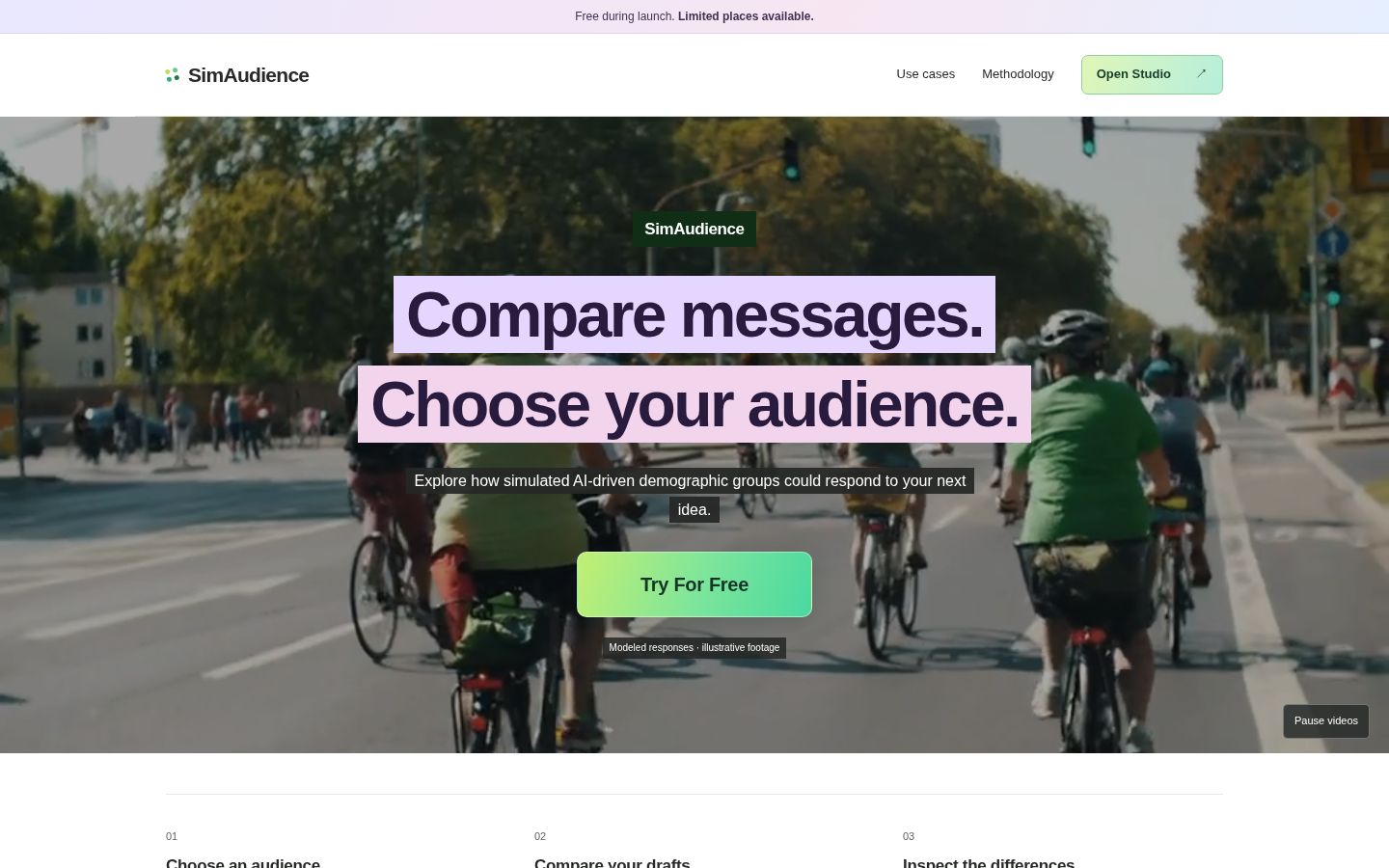 SimAudience homepage